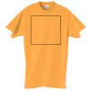 Adult Essential Short Sleeve T-Shirt Thumbnail