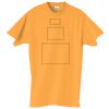 Adult Essential Short Sleeve T-Shirt Thumbnail