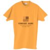 Adult Essential Short Sleeve T-Shirt Thumbnail