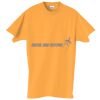 Adult Essential Short Sleeve T-Shirt Thumbnail