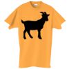 Adult Essential Short Sleeve T-Shirt Thumbnail