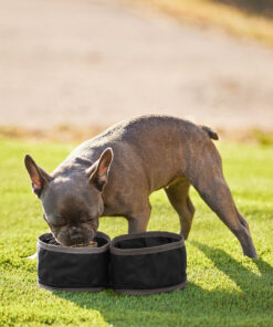 Dri Duck Packable Duo Pet Dish