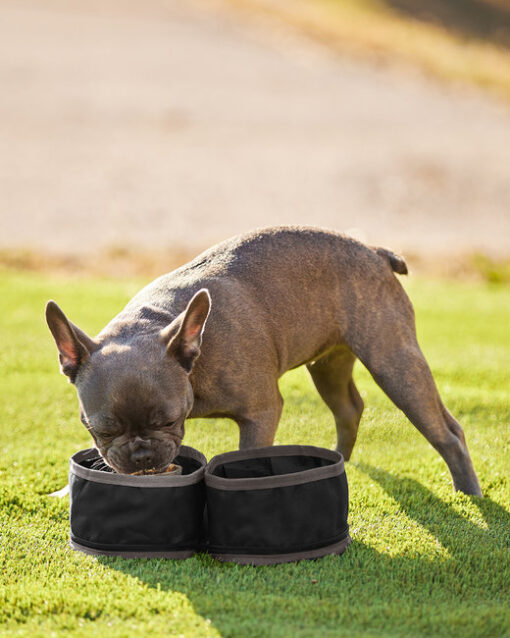 Dri Duck Packable Duo Pet Dish